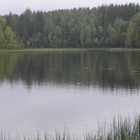 Foto de Leivonmaki
