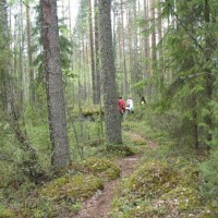 Foto de Leivonmaki