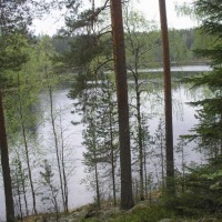 Foto de Leivonmaki