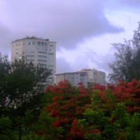 Foto de Santo Domingo