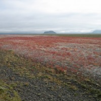 Foto de Islandia