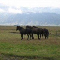 Foto de Islandia