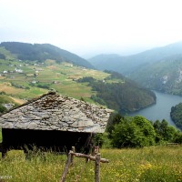 Foto de Boal