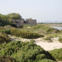Foto de San Fernando
