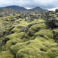 Foto de Islandia