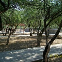 Foto de San Felipe de Jesus, Sonora