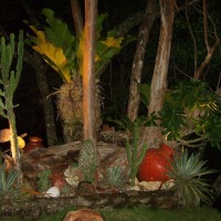 Foto de Alajuela