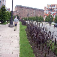 Foto de Oviedo