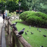 Foto de Oviedo