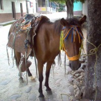 Foto de San Jose de Choluteca