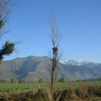 Foto de San Felipe