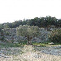 Foto de Castillon du Gard