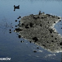 Foto de Puerto Real