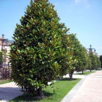 Foto de Oviedo