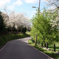 Foto de Figarines