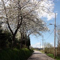 Foto de Figarines