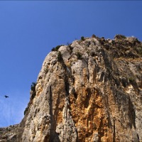Foto de Cihuela