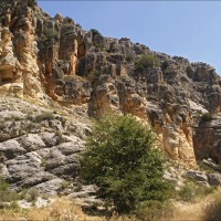 Foto de Cihuela