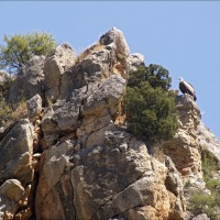 Foto de Cihuela