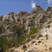 Foto de Cihuela