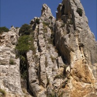 Foto de Cihuela