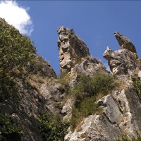 Foto de Cihuela