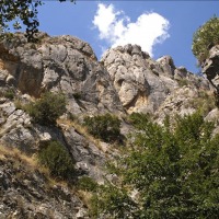 Foto de Cihuela