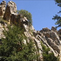 Foto de Cihuela