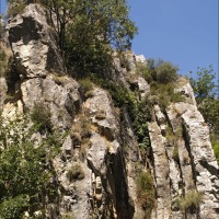 Foto de Cihuela