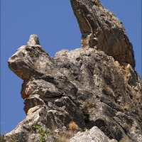 Foto de Cihuela