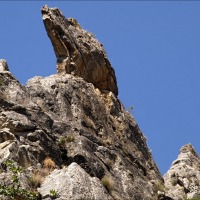 Foto de Cihuela