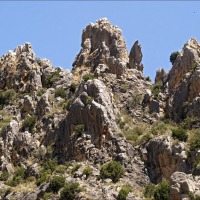 Foto de Cihuela