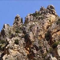 Foto de Cihuela
