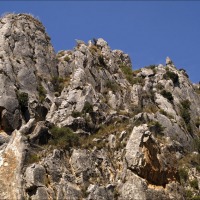Foto de Cihuela
