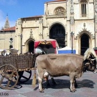 Foto de Oviedo