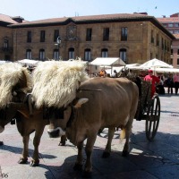 Foto de Oviedo