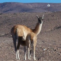 Foto de Altiplano