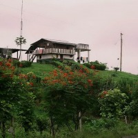 Foto de Salinas