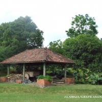 Foto de Alajuela