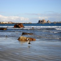 Foto de Los Vilos (Coquimbo)