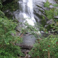 Foto de Araucania