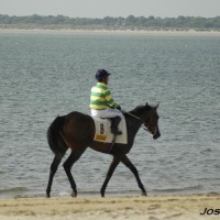 Foto de Sanlúcar de Barrameda