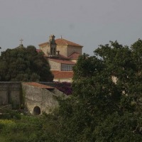 Foto de Pando