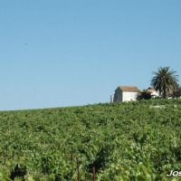 Foto de Jerez de la Frontera