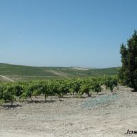 Foto de Jerez de la Frontera