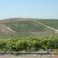 Foto de Jerez de la Frontera