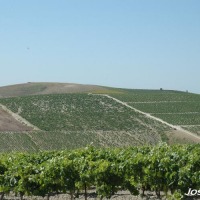 Foto de Jerez de la Frontera
