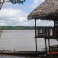 Foto de Amazonas