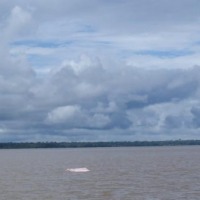 Foto de Amazonas