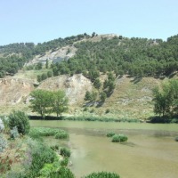 Foto de Cabezon